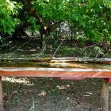 photo 2021-05-12 08-27-40