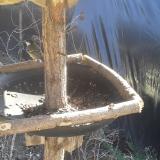 photo 2019-02-18 12-58-37