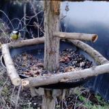 photo 2019-01-02 07-28-56