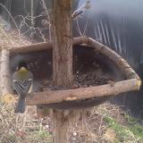 photo 2019-03-14 15-06-50