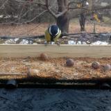 photo 2021-11-10 10-41-34