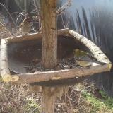 photo 2019-03-09 08-20-02