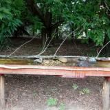 photo 2021-07-26 14-25-00