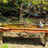 photo 2021-04-21 10-56-00