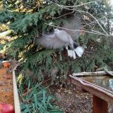 photo 2021-11-12 15-06-16