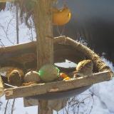 photo 2019-01-27 09-12-51