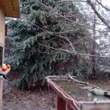 photo 2021-12-15 07-46-56