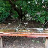 photo 2021-09-07 14-54-37