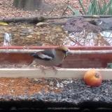 photo 2021-11-07 08-17-06 meggyvago