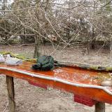 photo 2021-03-22 12-01-25