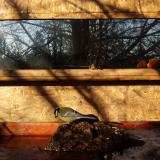 photo 2022-01-24 09-24-51