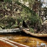 photo 2022-03-28 11-27-39 seregely