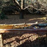 photo 2021-10-24 16-03-36