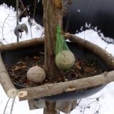 photo 2019-01-12 10-21-55