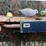 photo 2021-02-02 14-02-44