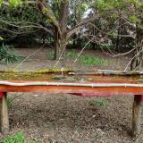 photo 2021-04-13 08-43-04