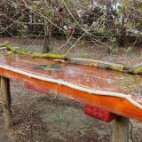 photo 2021-04-01 16-46-12