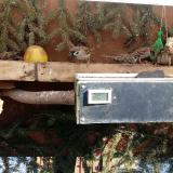 photo 2021-02-12 12-04-10