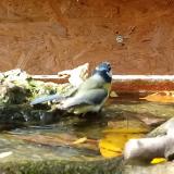 photo 2023-10-25 13-29-24 kekcinege