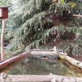 photo 2023-10-10 16-54-04