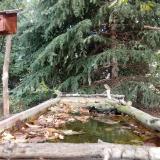 photo 2023-10-08 11-11-26