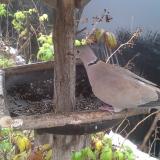 photo 2019-12-02 09-55-35