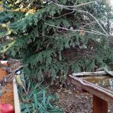 photo 2021-11-12 15-11-31