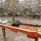 photo 2021-03-22 12-01-34