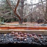 photo 2021-11-04 08-07-15