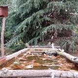 photo 2023-10-19 16-43-17