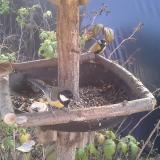 photo 2019-12-08 11-52-20