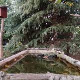 photo 2023-10-11 17-57-18