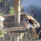 photo 2019-12-17 14-18-16