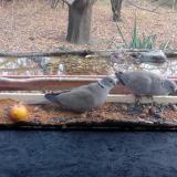 photo 2021-11-07 13-48-25