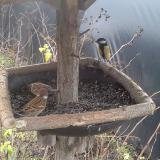 photo 2019-12-25 10-42-56