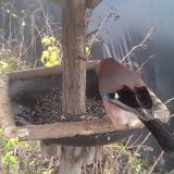 photo 2019-12-22 11-58-26