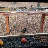 photo 2021-11-03 13-54-16