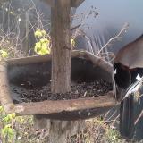 photo 2019-12-22 13-16-52