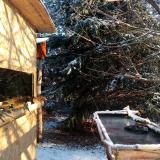 photo 2022-01-09 08-47-19