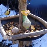 photo 2019-01-14 10-28-32