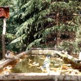 photo 2023-10-17 13-16-32