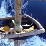 photo 2019-01-21 10-35-57