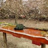 photo 2021-03-25 11-32-25