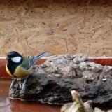 photo 2022-01-31 14-10-13 cinke