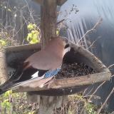 photo 2019-12-22 11-38-17