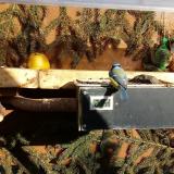 photo 2021-02-04 14-15-58