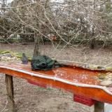 photo 2021-03-18 13-09-42