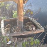 photo 2019-12-11 07-56-51