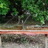 photo 2021-05-16 11-45-00