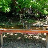 photo 2021-05-08 11-15-33